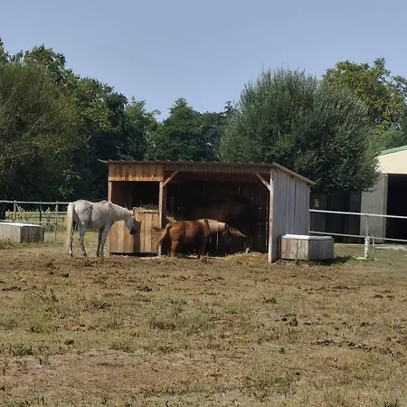 別荘 Chaleureux Et Accueillant Au Kara Ranch