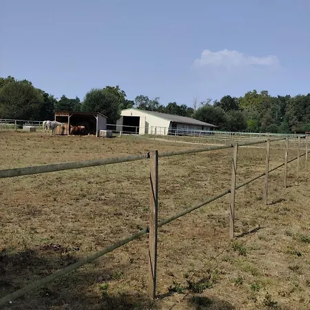 Chaleureux Et Accueillant Au Kara Ranch 別荘 Saugnac-et-Cambran